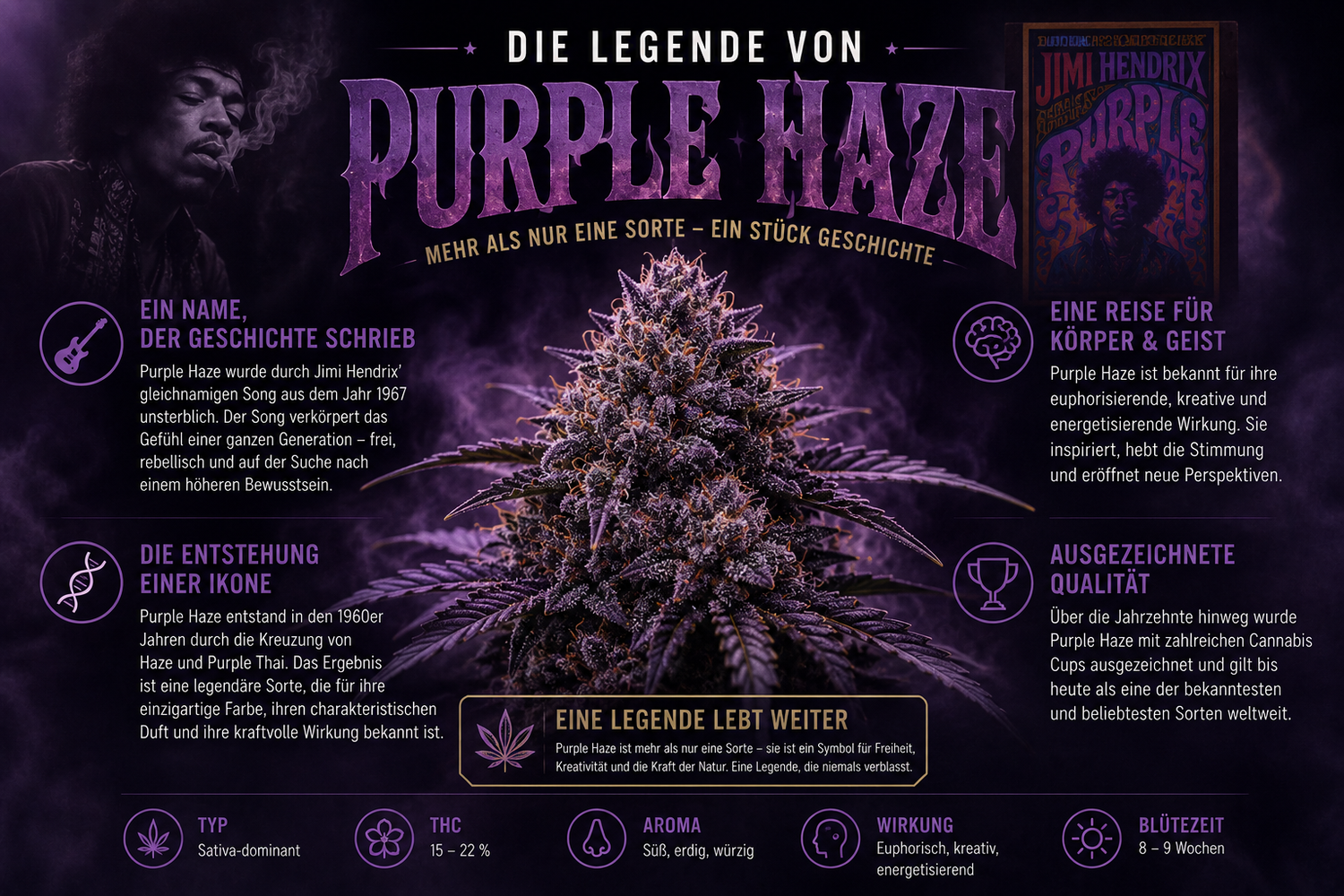 Die Geschichte von Purple Haze