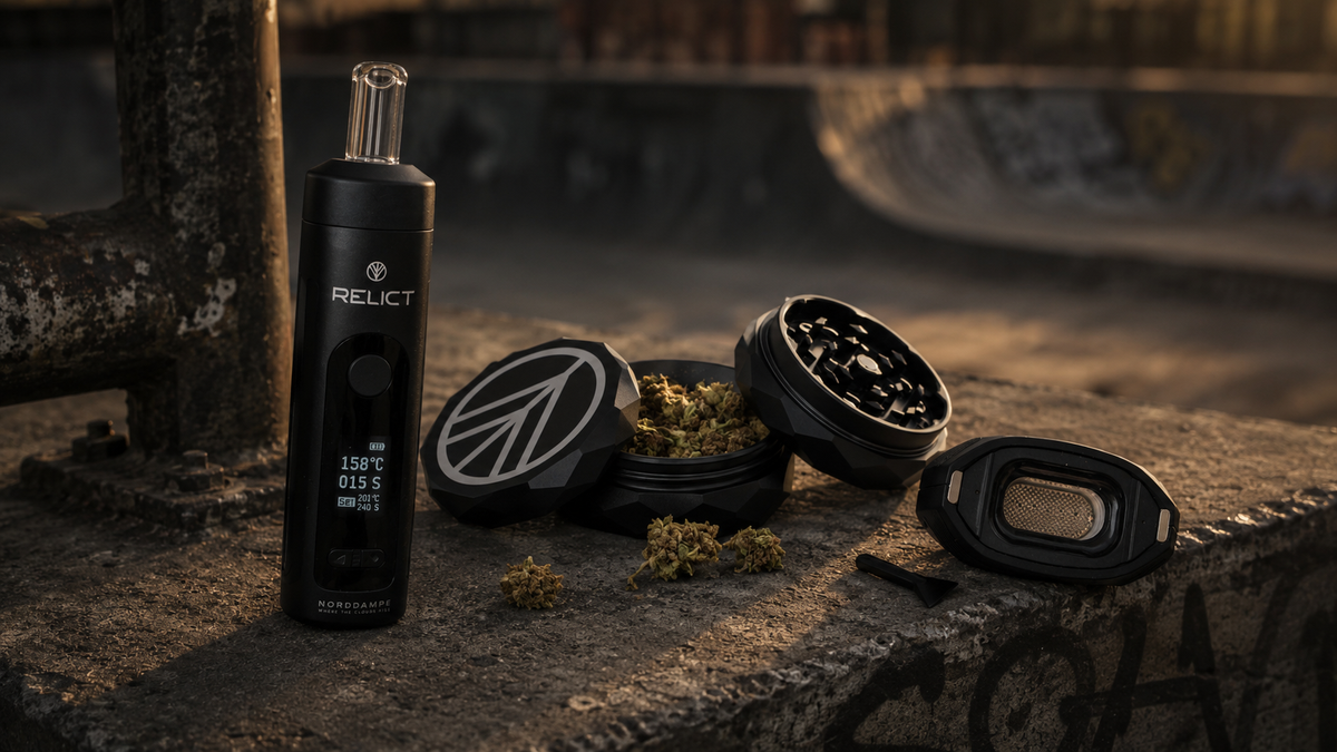 Relict und Grinder an einem Skatepark
