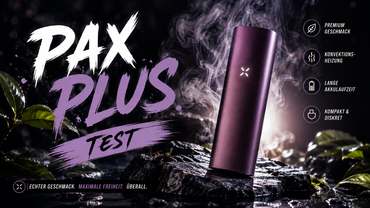 PAX Plus Test