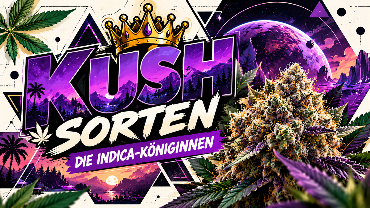 Krone, Cannabis, Wording