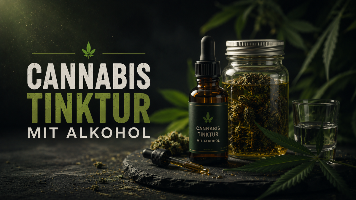 Tinkturfläschchen, Cannabisglas, Pflanzen, Steinhintergrund