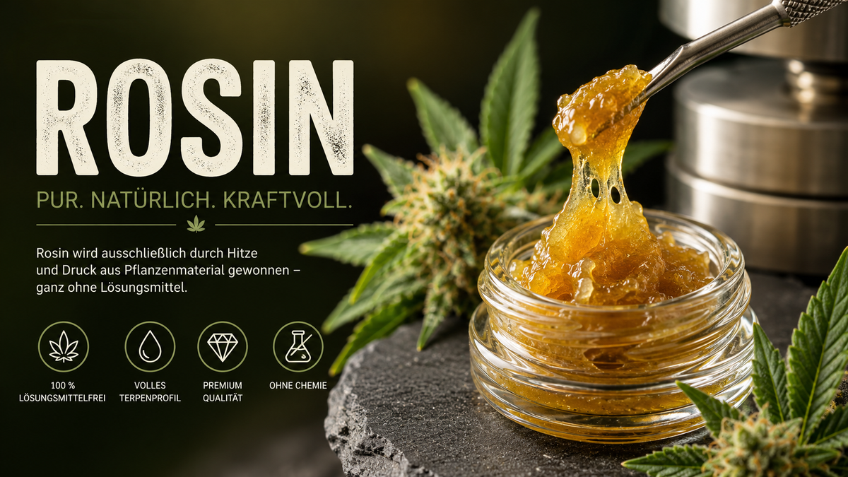 Rosin verdampfen: Konzentrate im Vaporizer