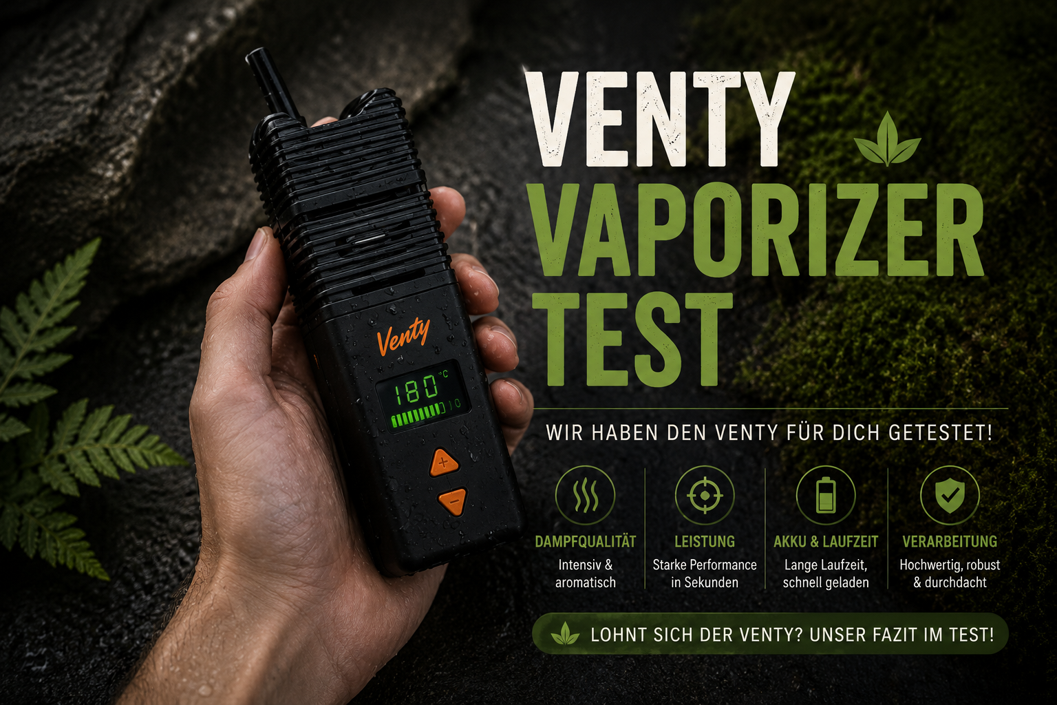 Venty, Hand, Pflanze, Steine