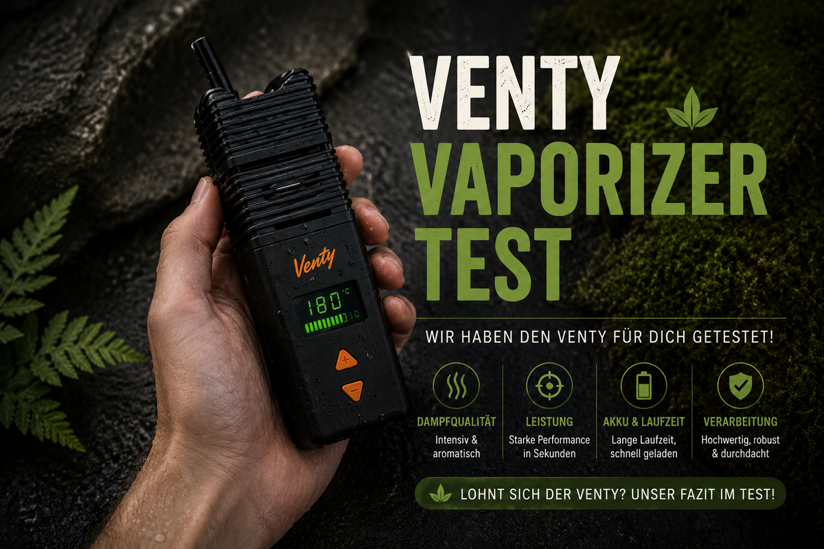 Venty, Hand, Pflanze, Steine