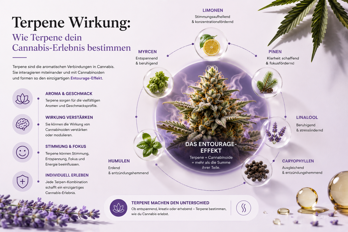 Tarpene, Beschreibung, Blüten, Cannabis
