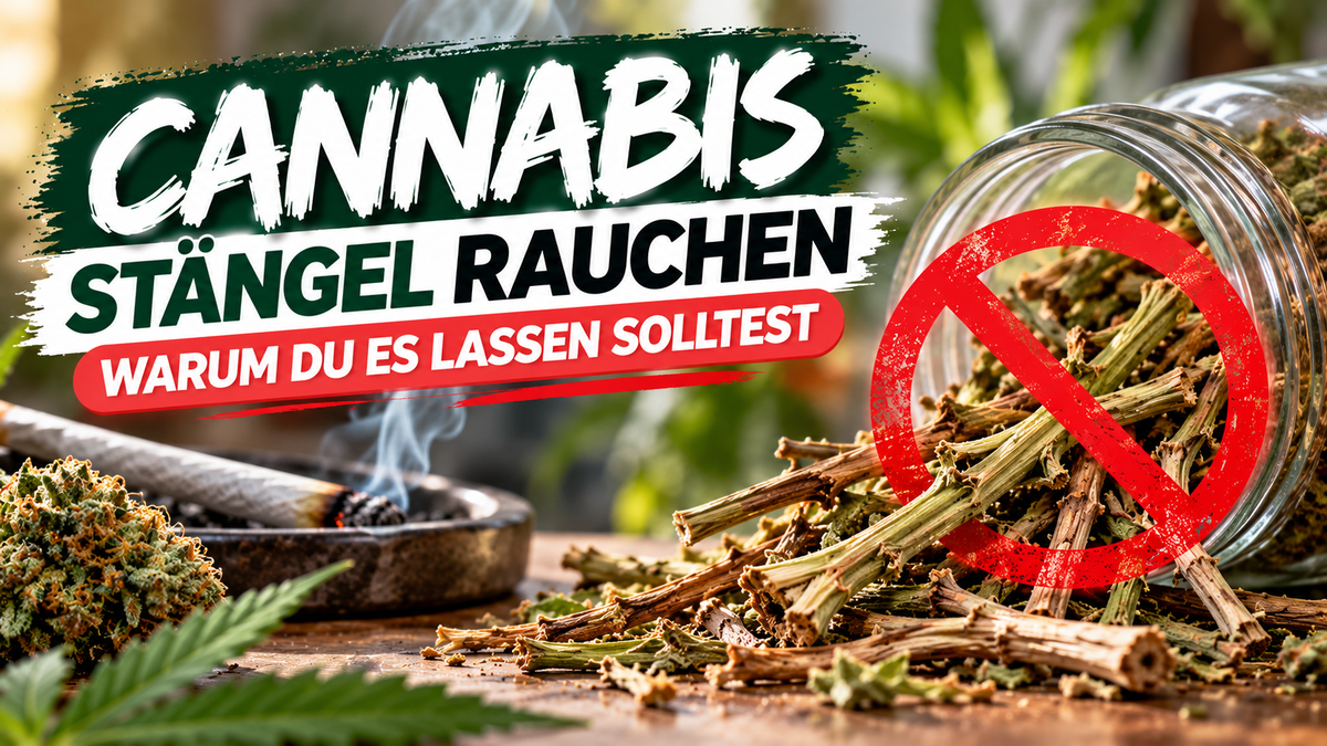 Cannabisstängel, Glas, Wording, Pflanzen