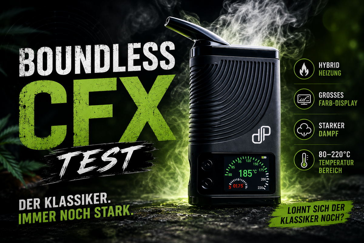 Boundless, Test, Display, Qualm, Stein