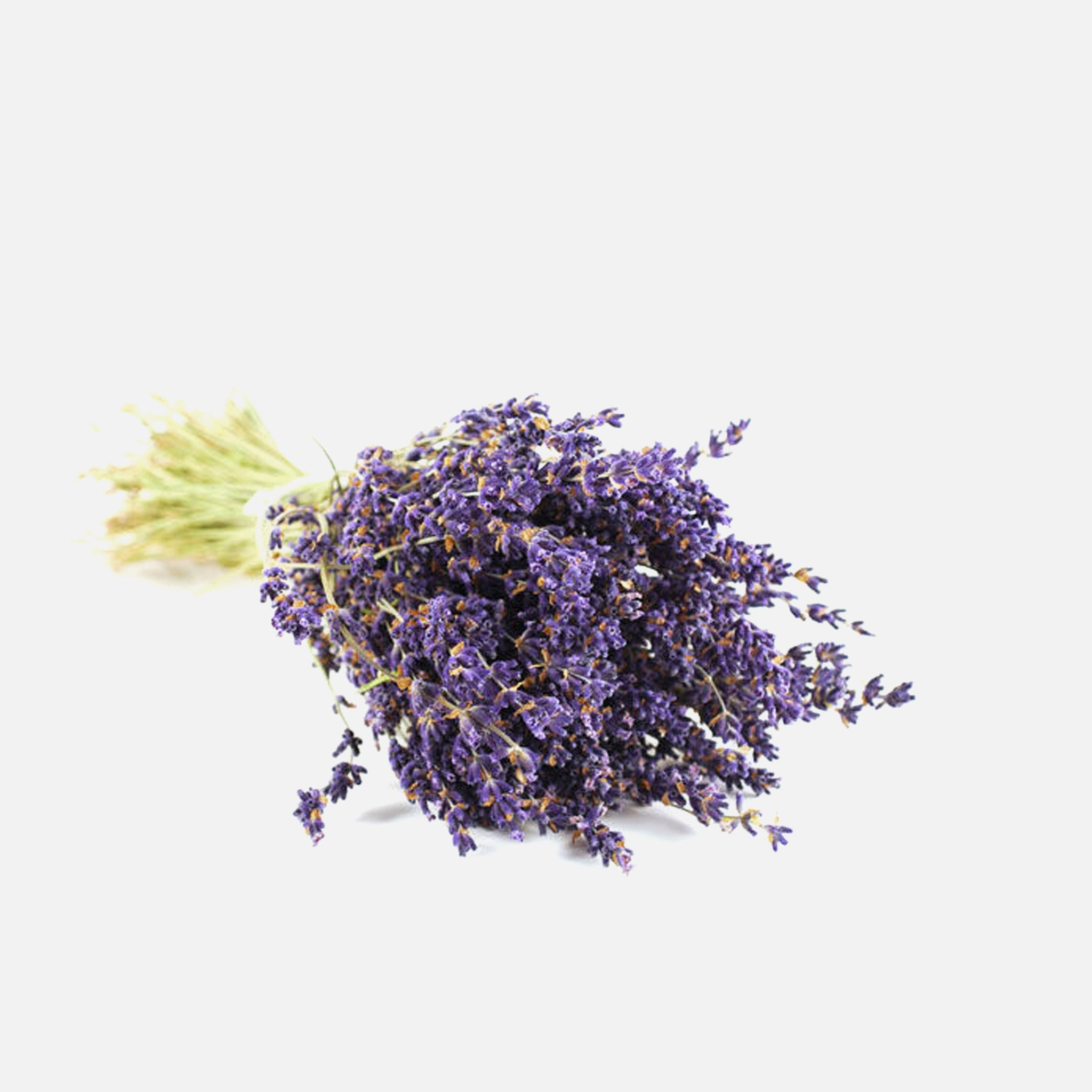Lavendel BIO